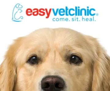 easyvet Veterinarian Madison