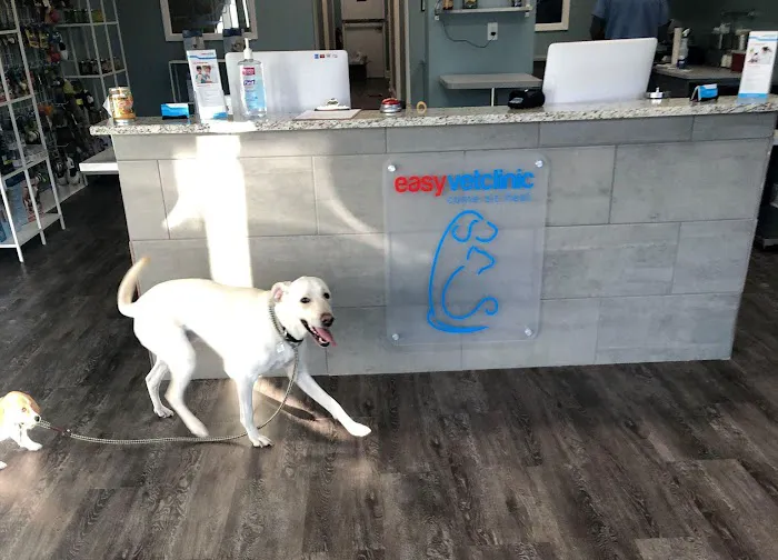 easyvet Veterinarian Madison 7