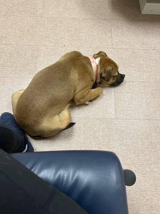Southpaw Animal Clinic of Madison 9