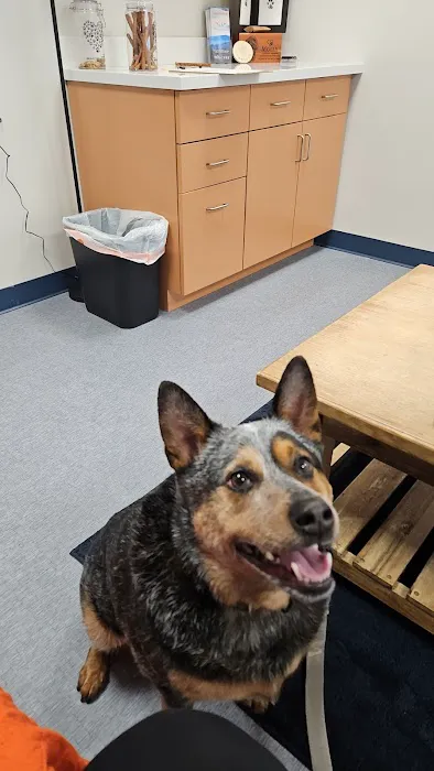 Southpaw Animal Clinic of Madison 10
