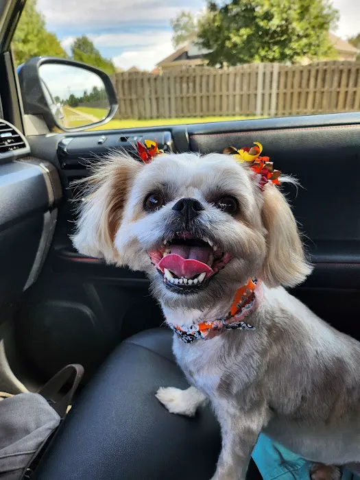 Mill Creek Veterinary Care Center 2