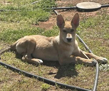 Mill Creek Veterinary Care Center