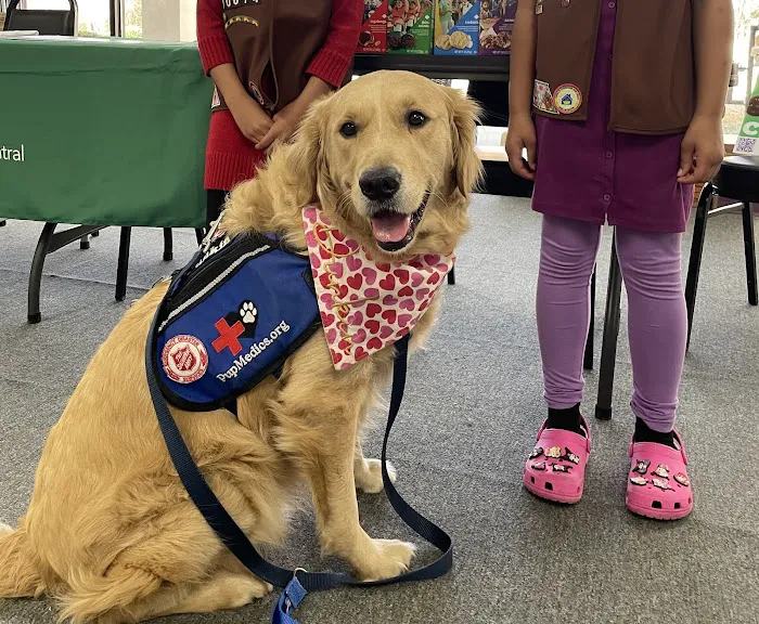 Mill Creek Veterinary Care Center 6