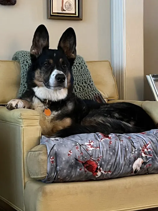 Mill Creek Veterinary Care Center 4