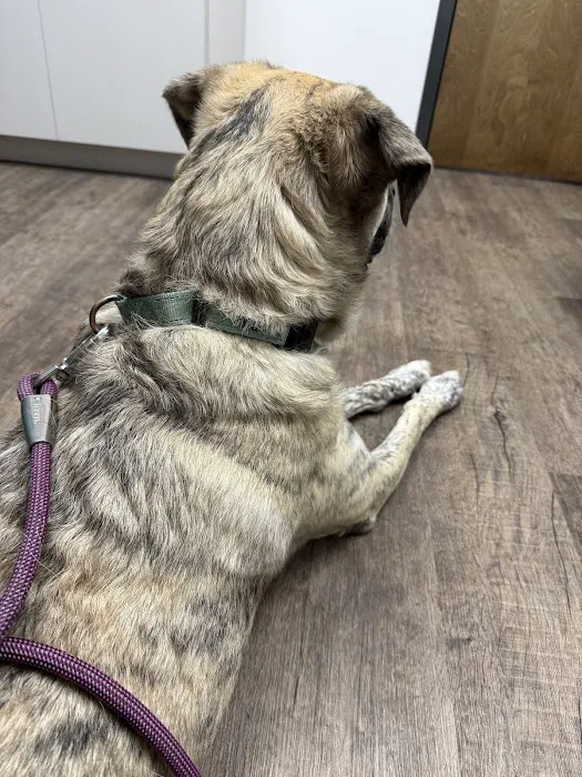 Mill Creek Veterinary Care Center 5