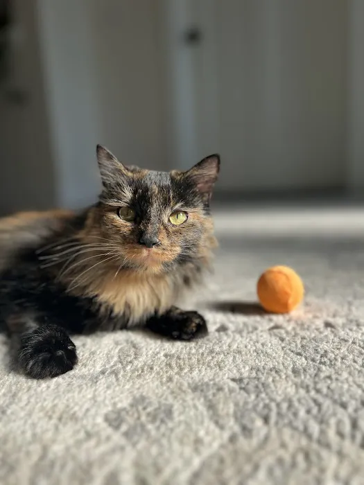 Mill Creek Veterinary Care Center 9