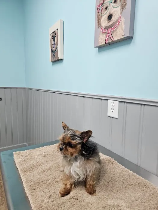 Heritage Animal Clinic 2