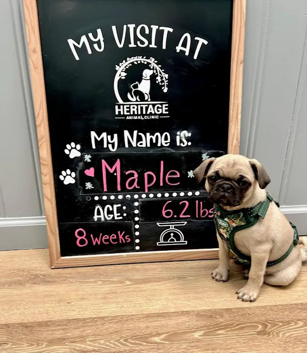 Heritage Animal Clinic 3