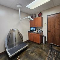 Pet Hospital of Madison ico