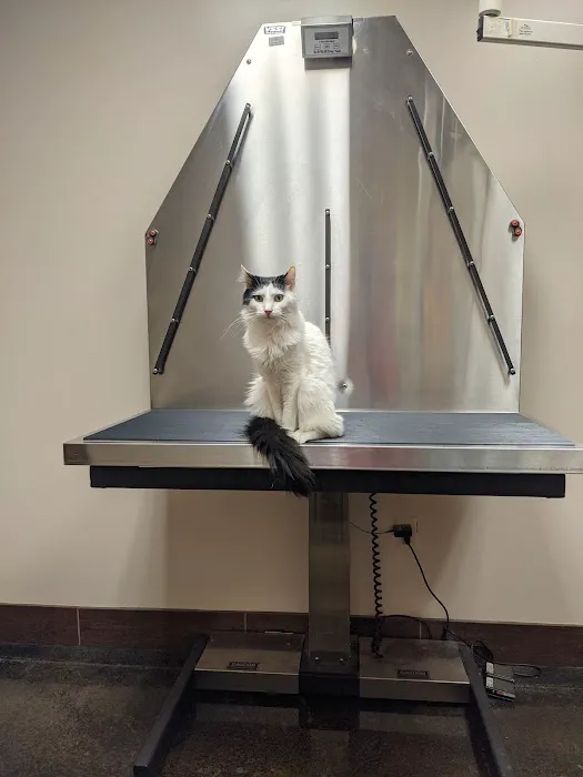 Pet Hospital of Madison 8