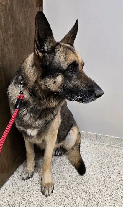 Valley Animal Clinic: Williams Charles F DVM 3