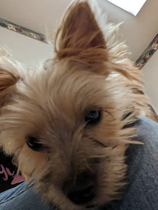 Valley Animal Clinic: Williams Charles F DVM 2