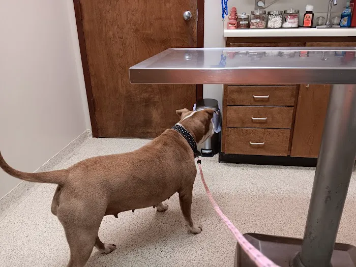 Valley Animal Clinic: Williams Charles F DVM 1