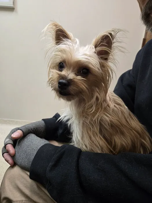 Valley Animal Clinic 1