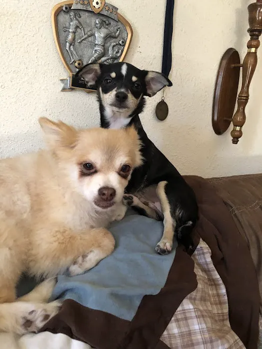 Valley Animal Clinic 7