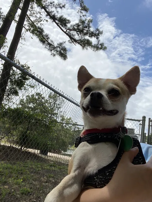 Valley Animal Clinic 8
