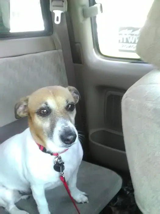 Valley Animal Clinic 6