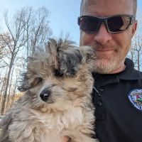 Harmony Heights Animal Hospital ico