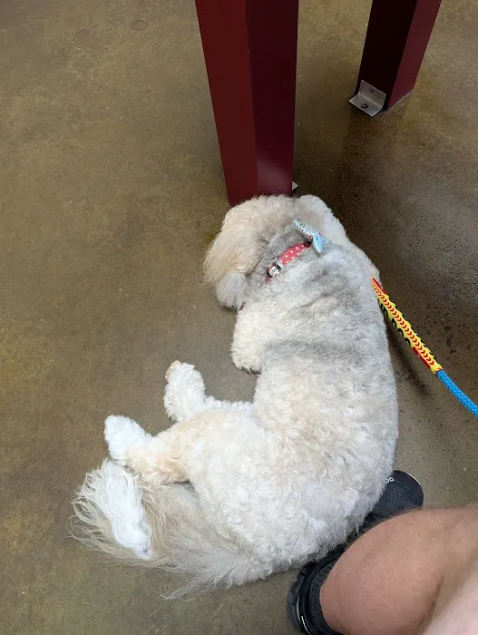 Harmony Heights Animal Hospital 5