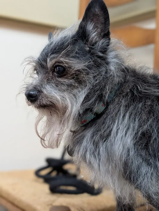 Harmony Heights Animal Hospital 8