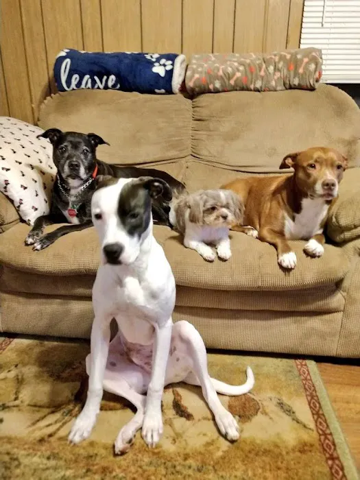 Harmony Heights Animal Hospital 7