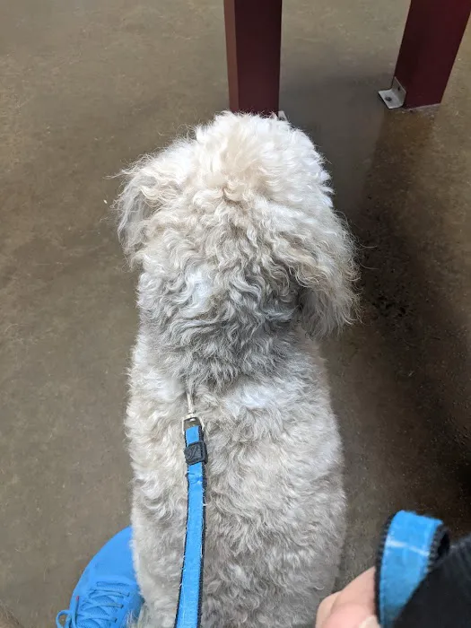 Harmony Heights Animal Hospital 4