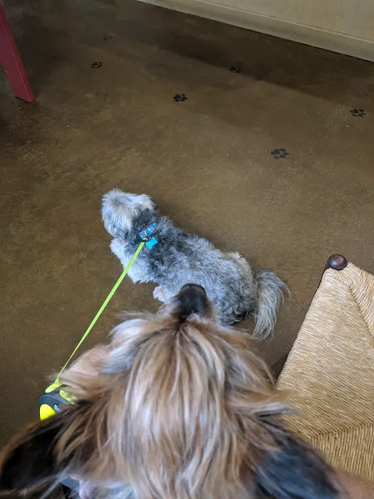 Harmony Heights Animal Hospital 10