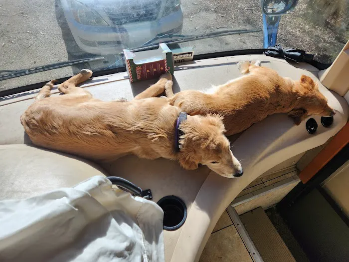 Mocksville Animal Hospital 3