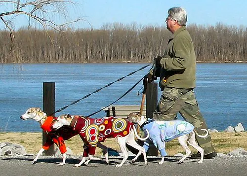 Animal Ark of Elkin 1