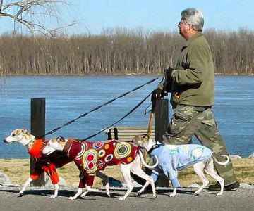 Animal Ark of Elkin