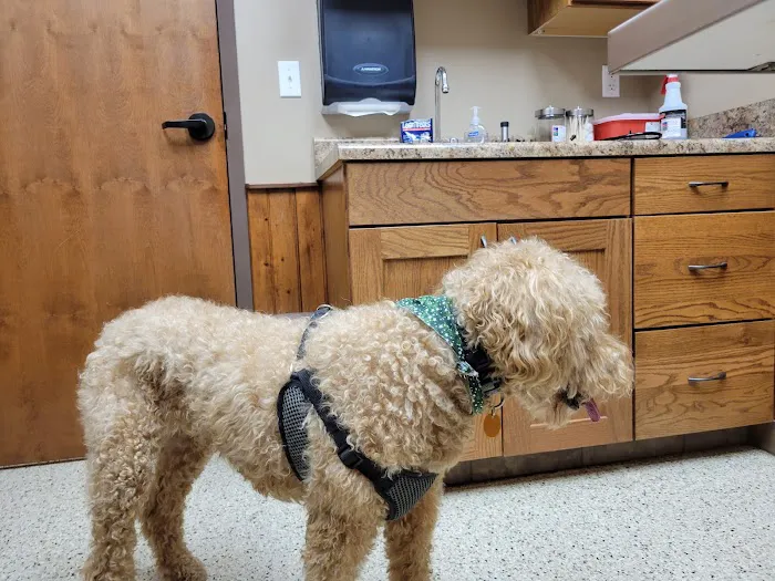 State Road Animal Hospital 1