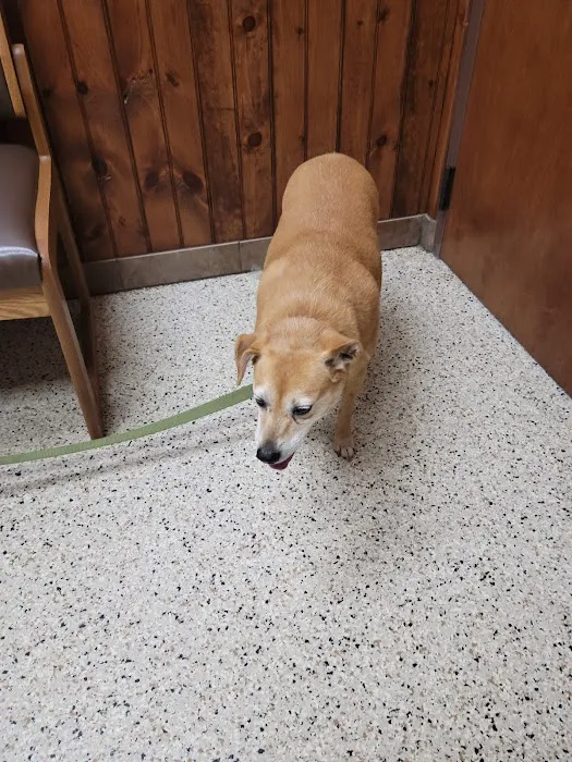 State Road Animal Hospital 2
