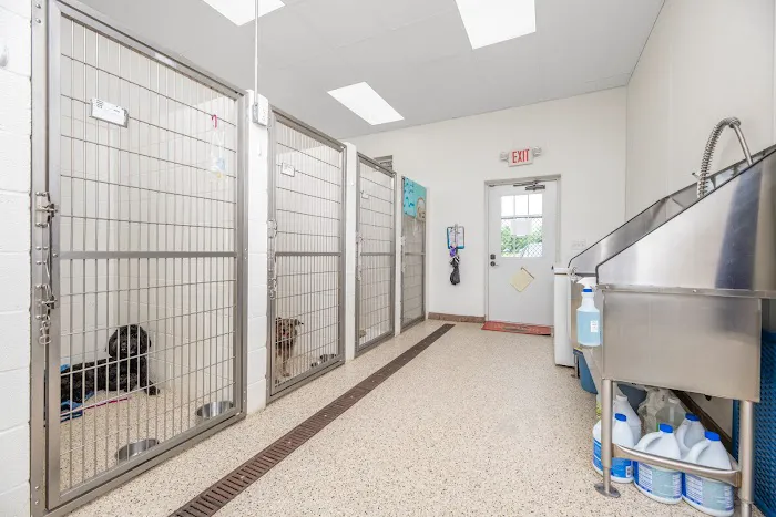 State Road Animal Hospital 7
