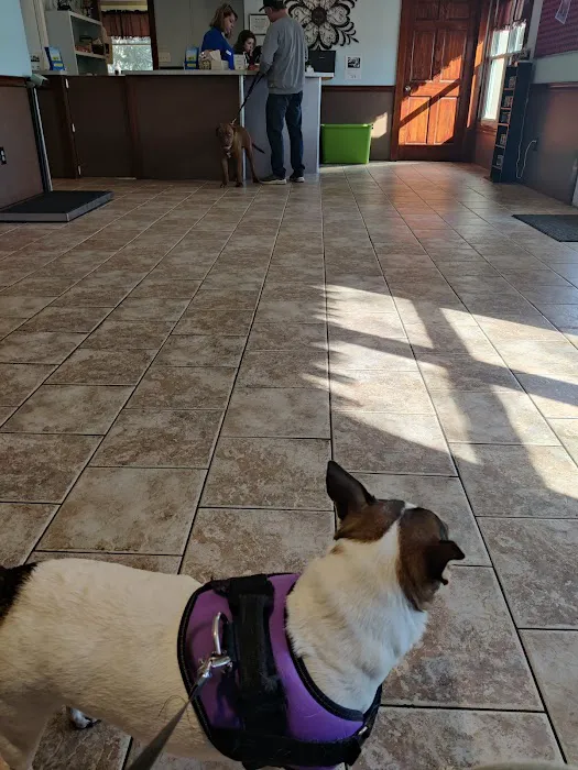 Bethlehem Animal Hospital 9