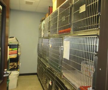 Viewmont Animal Hospital