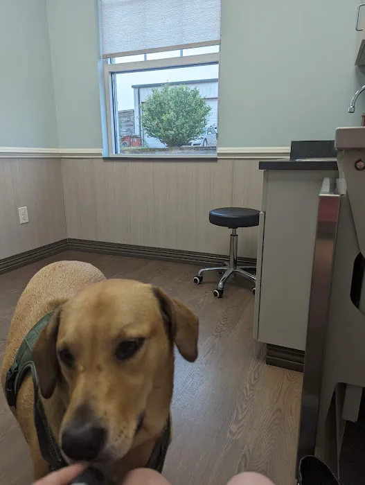 Countryside Pet Hospital 3