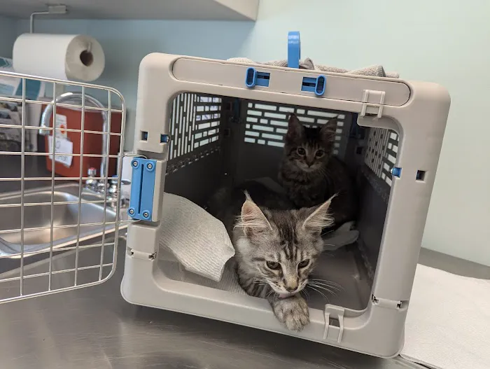 Countryside Pet Hospital 6