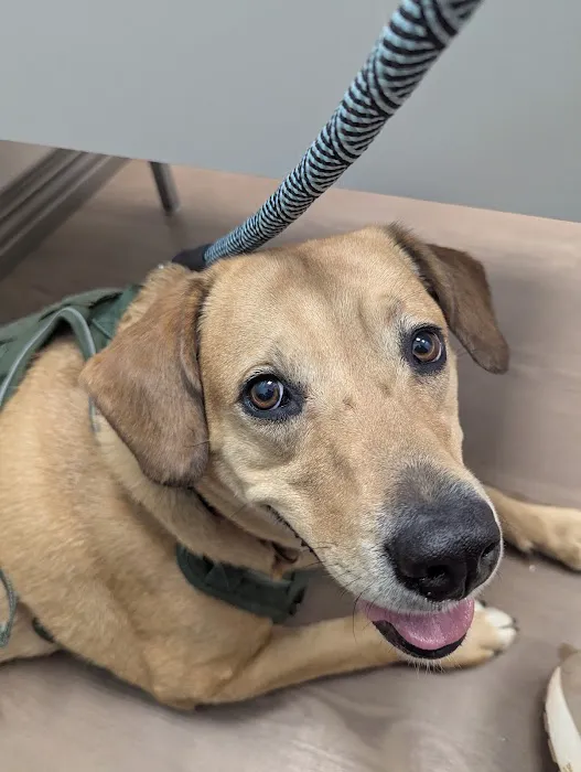 Countryside Pet Hospital 4