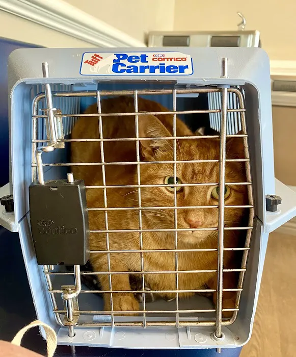 Countryside Pet Hospital 9