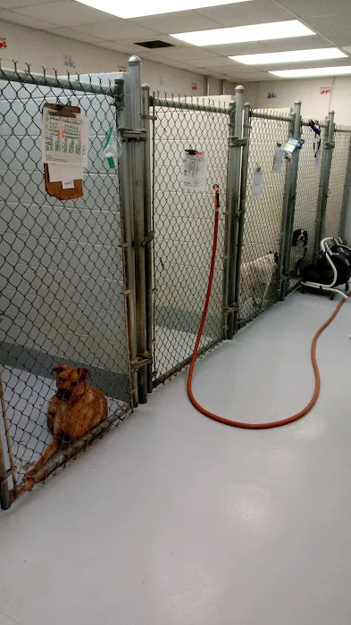 Conover Veterinary Hospital 7