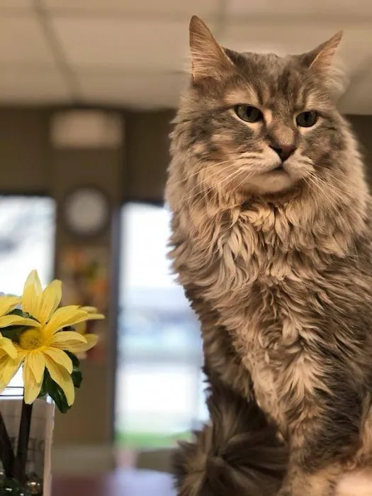 Conover Veterinary Hospital 10