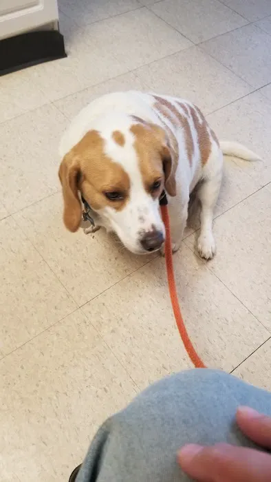 Conover Veterinary Hospital 5