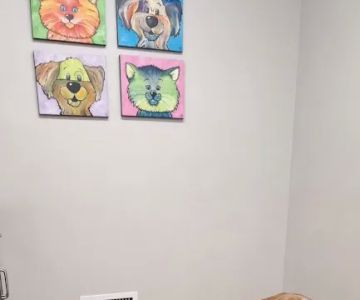 Animal Hospital North