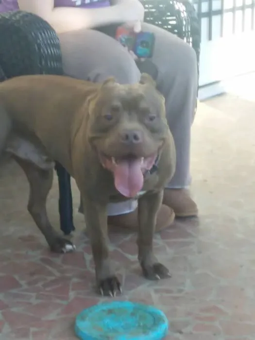 Hill Animal Hospital 3