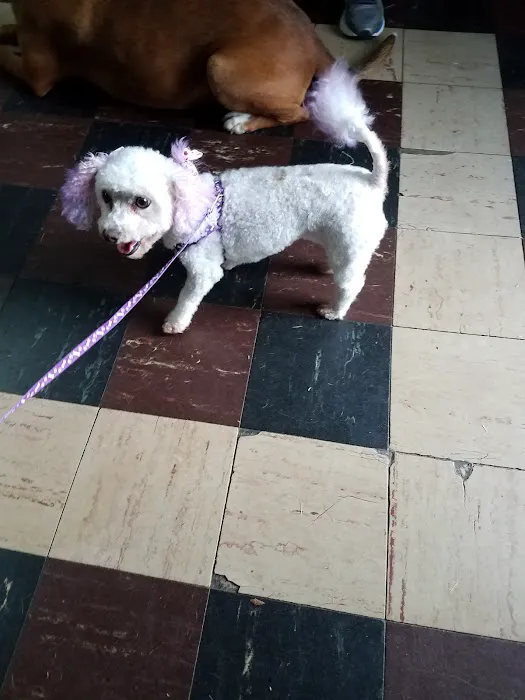 Hill Animal Hospital 4