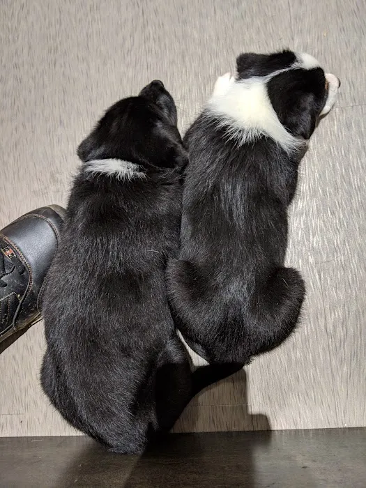 Hill Animal Hospital 7