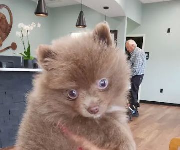 Catawba Valley Animal Hospital