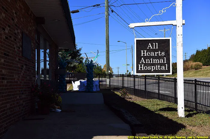 All Hearts Animal Hospital 9