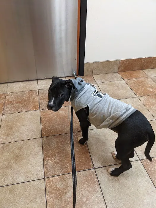 Banfield Pet Hospital 8