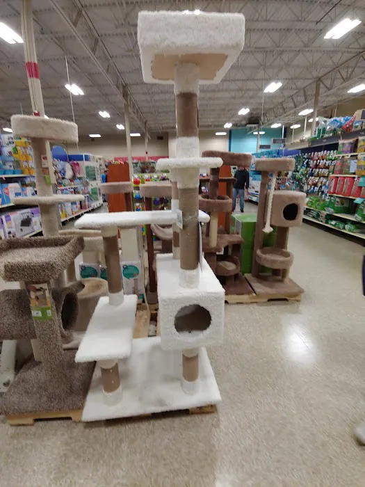 Banfield Pet Hospital 4